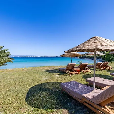 Sisus Marina